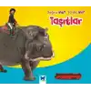 Taşıtlar / Doğru mu? Yanlış mı?