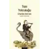 Tazı Yolculuğu
