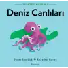 Tepeden Kuyruğa - Deniz Canlıları