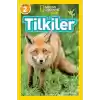 Tilkiler - Seviye 2