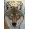 Tıpkısının Aynısı
