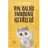 Ton Balığı Fabrikası Kedileri