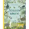 Türlerin Kökeni