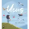 Uçuş