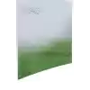Vahşi Hayat