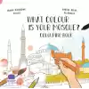 What Colour Is Your Mosque Colouring Book