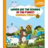 Where Are The Sounds In The Forest Coming From?