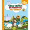 Whoher Kommen Dıe Geräusche Des Waldes?