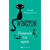 Winston 2: Gizemli Bir Ajan