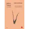 Yakın Temas