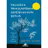 Yalnızca Yavaşladığında Görebileceğin Şeyler (Ciltli)