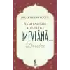 Yanlış Düşünce ve Davranışlar Karşısında Mevlana