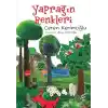 Yaprağın Renkleri