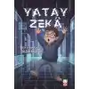 Yatay Zeka