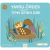 Yavru Ördek Öğreniyor Tıpkı Senin Gibi
