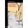 Yaz Düşleri Düş Kışları