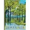 Yaz Ormanında