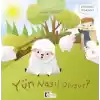 Oluşum Hikayeleri - Yün nasıl oluşur?