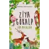 Ziya Gökalp - Tüm Masallar