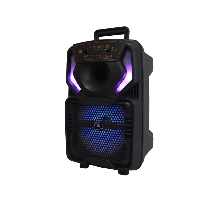 8 İnç Taşınabilir Bluetooth Hoparlör Güçlü Ses Karaoke Mikrofonlu FM Radyo USB Kumandalı Speaker