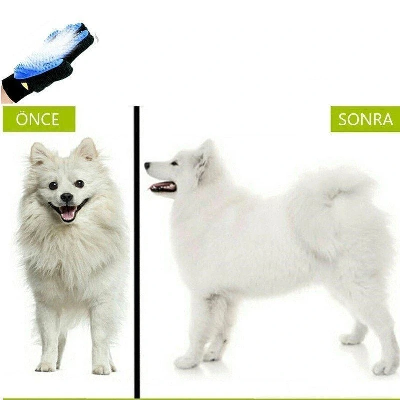 Evcil Hayvan Tüy Toplama Eldiveni Mavi