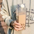 500 ml Mika Süt Kutusu Tasarımlı Su Kahve Şişesi