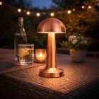 Mantar Masa Lambası Dokunmatik Işık Seviyesi Ayarlı Şarjlı Masa Lambası Bronz