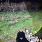 6000 Lümen 60w Profesyonel El Feneri 12.000 Mah Powerbank Özellikli Zoomlu Metal Gövde