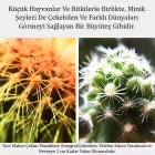 Balık Gözü Lens Fish Eye 3 Wide Geniş Açılı Makro Telefon Lensi