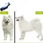 Evcil Hayvan Tüy Toplama Eldiveni Mavi