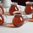 Keyfi Ala Borosilikat Kulplu 6 Lı Çay Bardağı