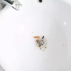 Yapışkan Banyo Gideri Koruyucu 10 Adet