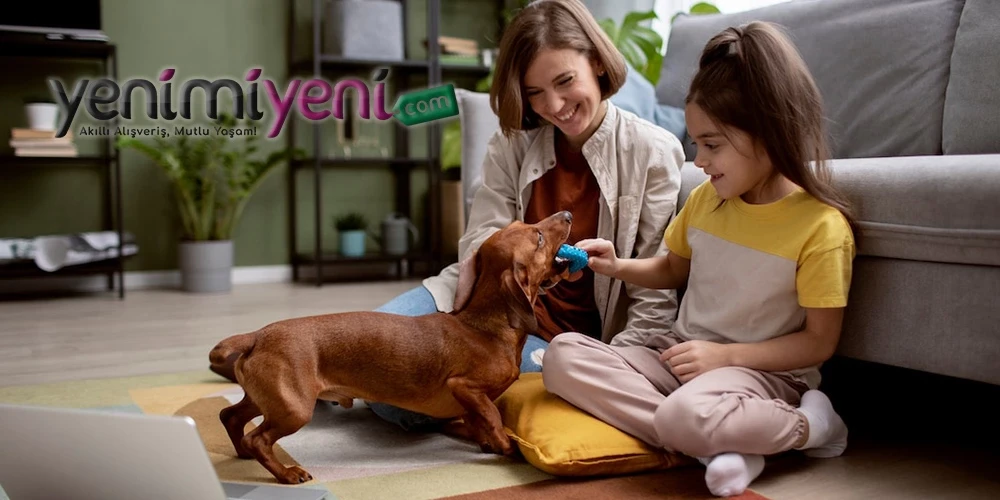 Evcil Hayvanlarla Yaşam, Güvenlik ve Bakım İpuçları