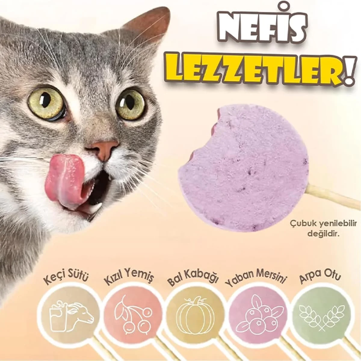5 Adet Malt Destekli Kedi Lolipopu Kedi Ödülü