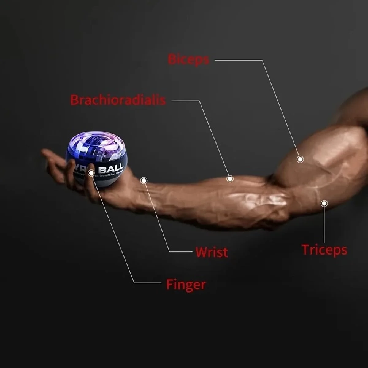 Gyro Ball El Bilek Kol Güçlendirme Egzersiz Topu