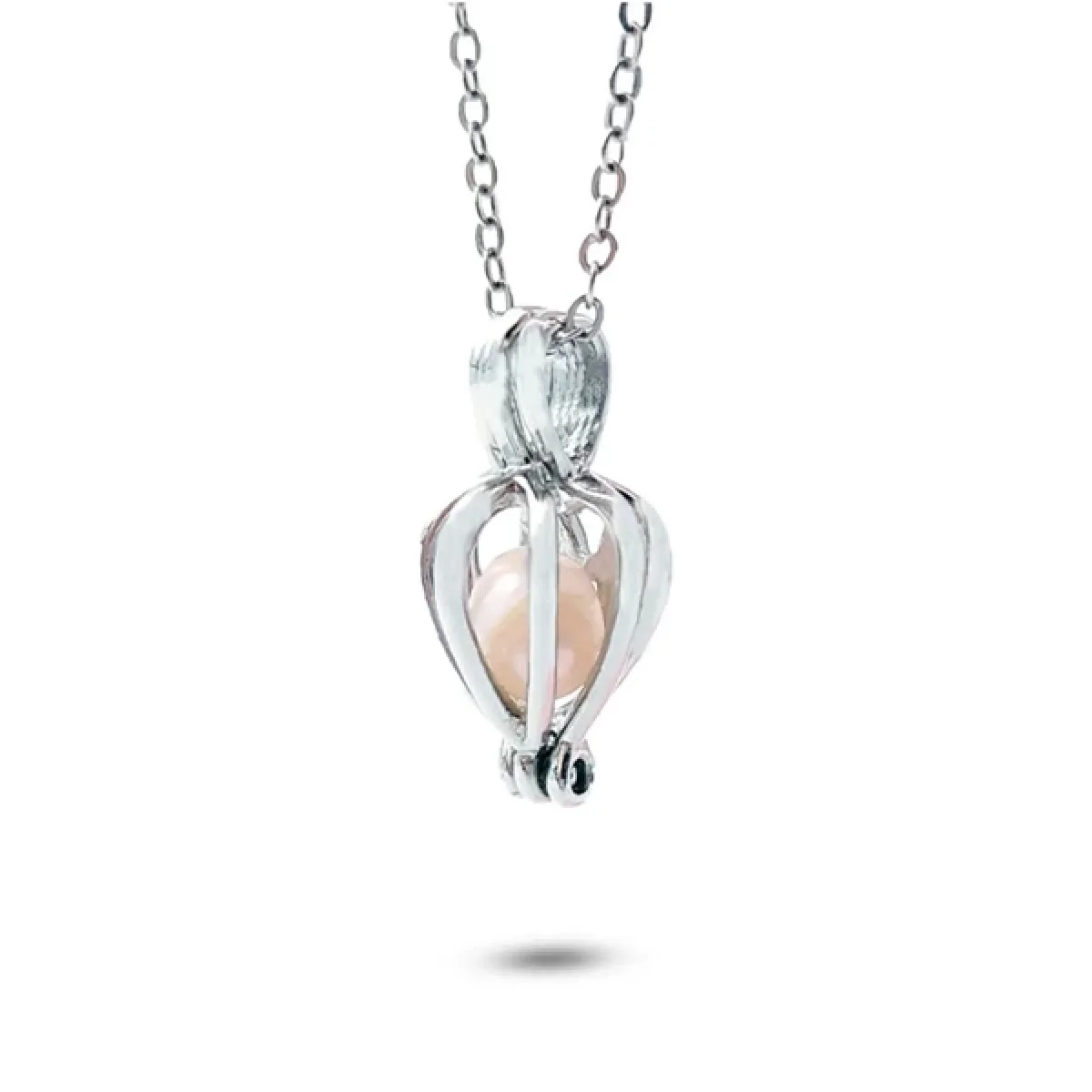 Özel Hediye İstiridye İçinde Gerçek İnci Kolye