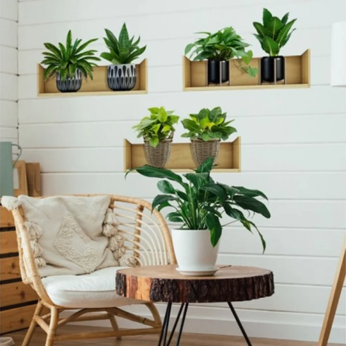 Raflı Bitki Tasarım Yapışkanlı Sticker 20x30 Cm 3Lü