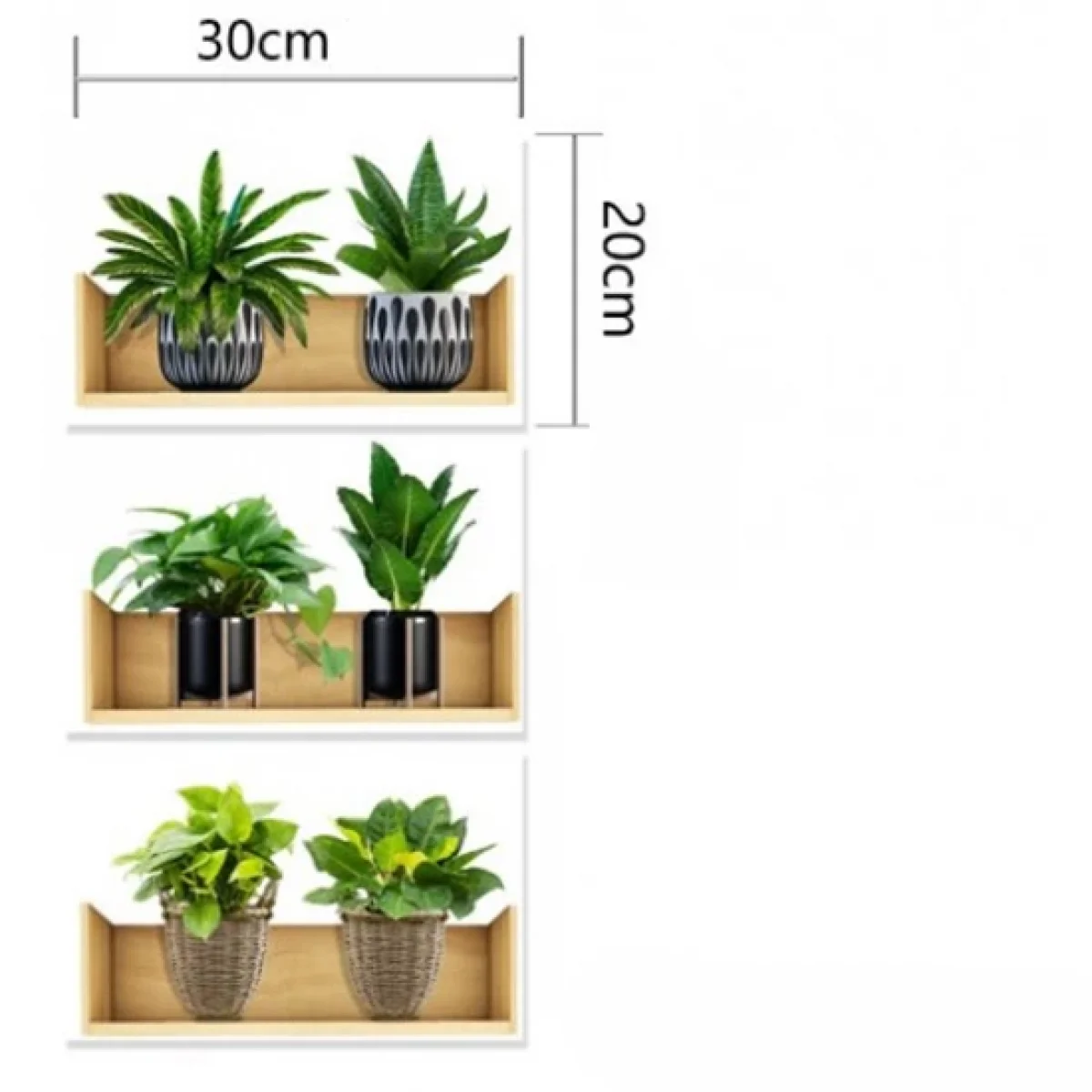 Raflı Bitki Tasarım Yapışkanlı Sticker 20x30 Cm 3Lü