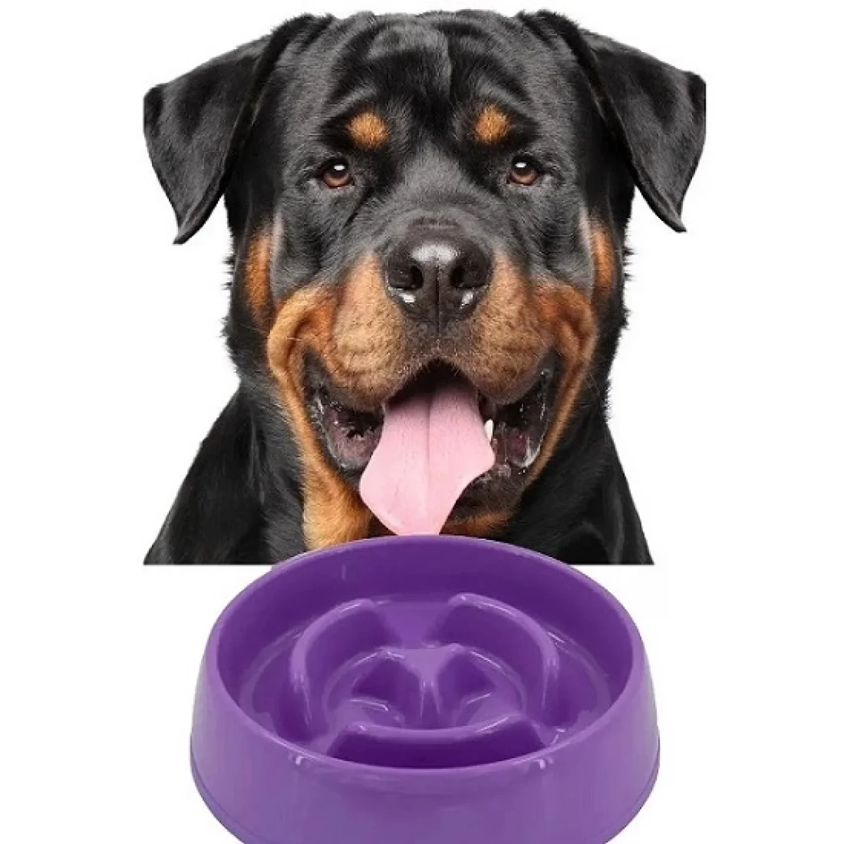 Yavaş Yeme Kedi Köpek Mama Kabı 375 ml