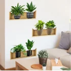 Raflı Bitki Tasarım Yapışkanlı Sticker 20x30 Cm 3Lü