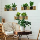 Raflı Bitki Tasarım Yapışkanlı Sticker 20x30 Cm 3Lü