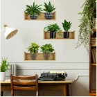 Raflı Bitki Tasarım Yapışkanlı Sticker 20x30 Cm 3Lü