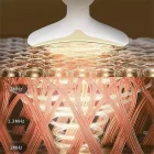 Yüz ve Boyun Kırışıklık Giderici Ems Güzellik Cihazı Gıdık Sarkma Aleti