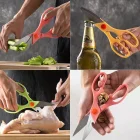 Paslanmaz Et Tavuk Börek Doğrama Makası