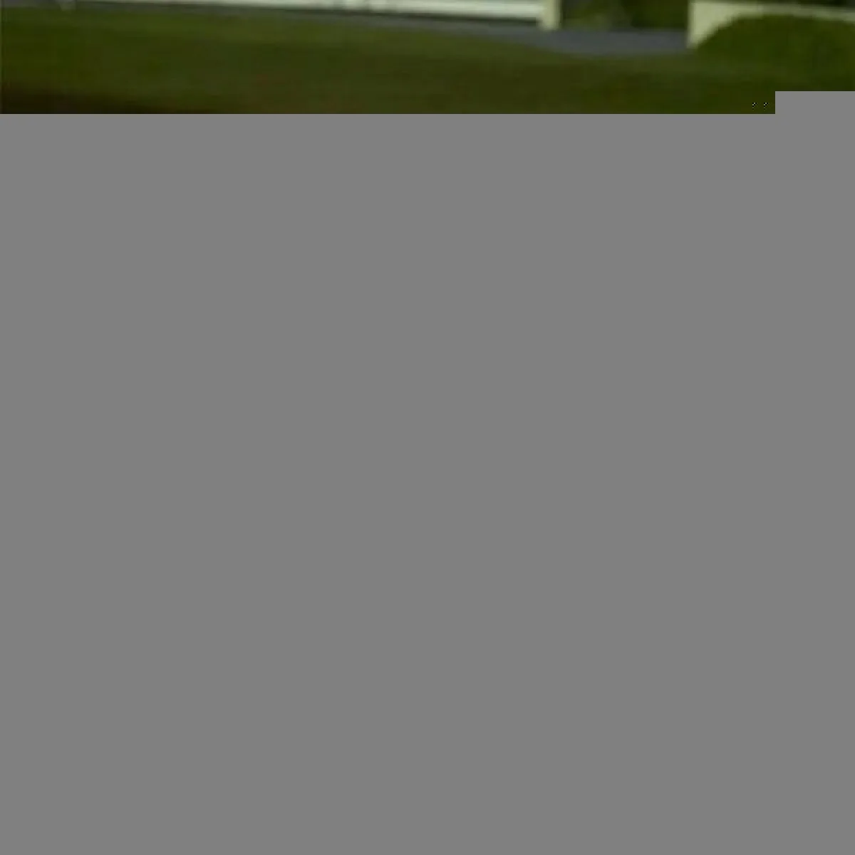 8 Dallı Ateş Böceği Solar Bahçe Lambası