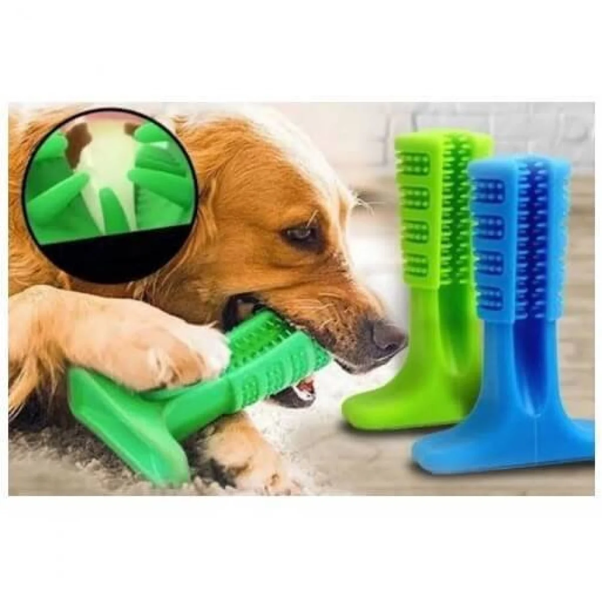 Köpek Diş Fırçası Isırma Aparatı Küçük Boy