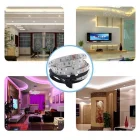 Şerit Led Animasyonlu RGB Led Seti 5 mt