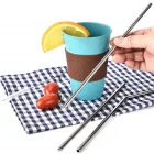 2 Li Paslanmaz Çelik Pipet ve Temizleme Fırçası