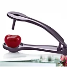 Vişne Zeytin Kiraz Çekirdek Çıkartıcı