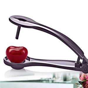 Vişne Zeytin Kiraz Çekirdek Çıkartıcı